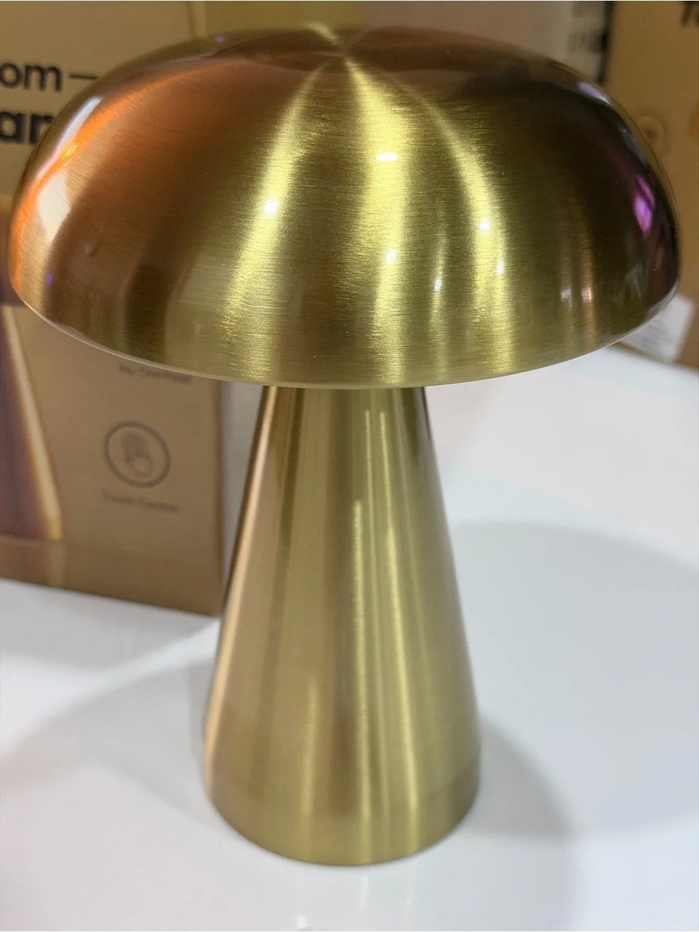 Mushroom Table Lamp, a cordless and rechargeable decorative lighting fixture